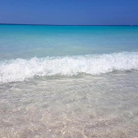 Agriturismo Il Poggio Casale Marittimo Kültér fotó