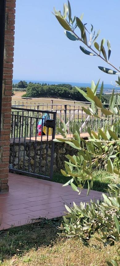Agriturismo Il Poggio Casale Marittimo Kültér fotó